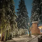 Basic Jelen Sauna & Jacuzzi *