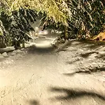 Basic Jelen Sauna & Jacuzzi Vlasic