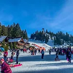 Basic Jelen Sauna & Jacuzzi