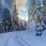 Appartement Basic Jelen Sauna & Jacuzzi *