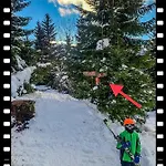 Basic Jelen Sauna & Jacuzzi *