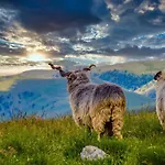 Basic Jelen Sauna & Jacuzzi Vlasic