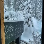 Basic Jelen Sauna & Jacuzzi *