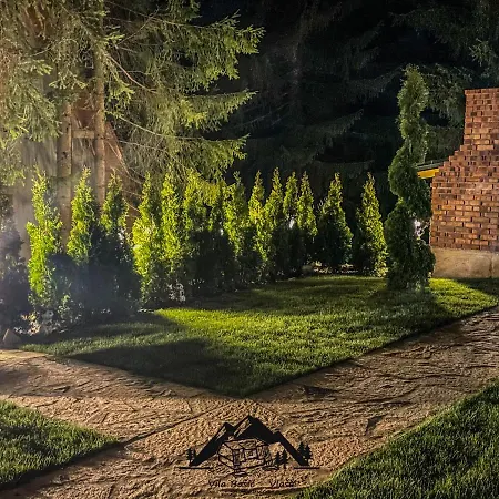 Basic Jelen * Vlašić