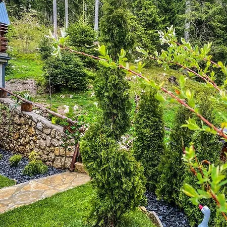 Basic Jelen Apartment Vlašić