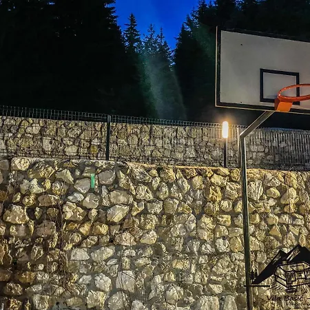 Daire Basic Jelen Vlasic