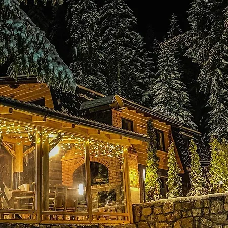 Apartment Basic Jelen Vlašić