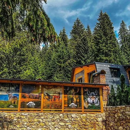 Basic Jelen Sauna & Jacuzzi Apartament *