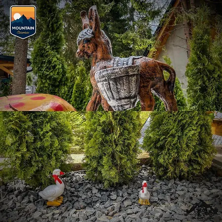 Basic Jelen * Vlašić