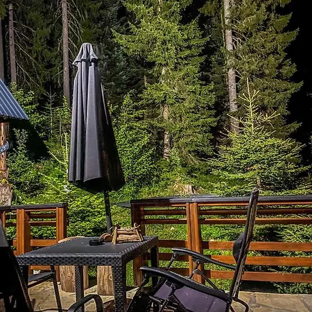 Basic Jelen Apartment