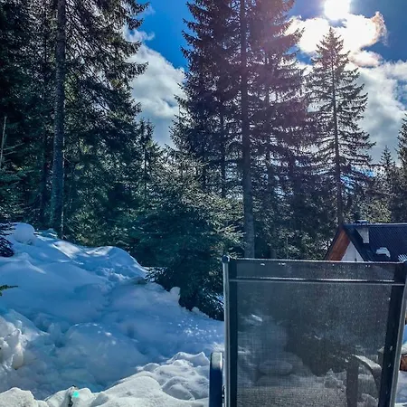 Basic Jelen Apartment