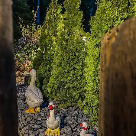 Basic Jelen Apartment Vlašić