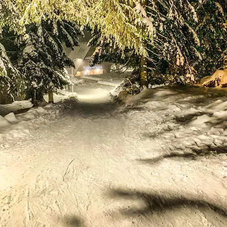 Basic Jelen Vlašić