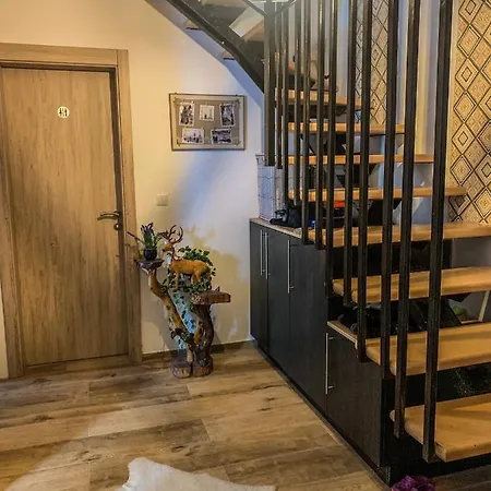 Apartament Basic Jelen Sauna & Jacuzzi *