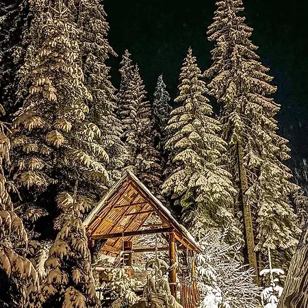 Apartment Basic Jelen