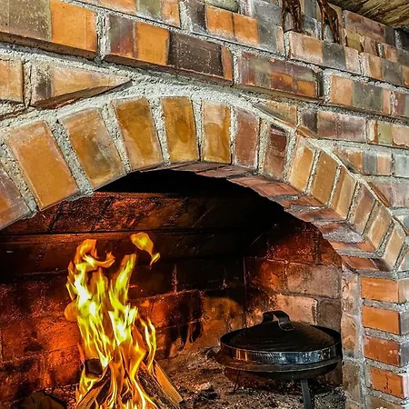 Basic Jelen Vlašić