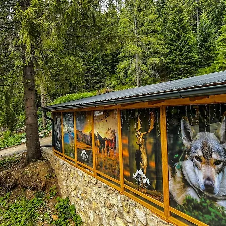 Basic Jelen Apartment