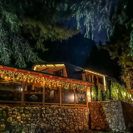 Basic Jelen Appartement