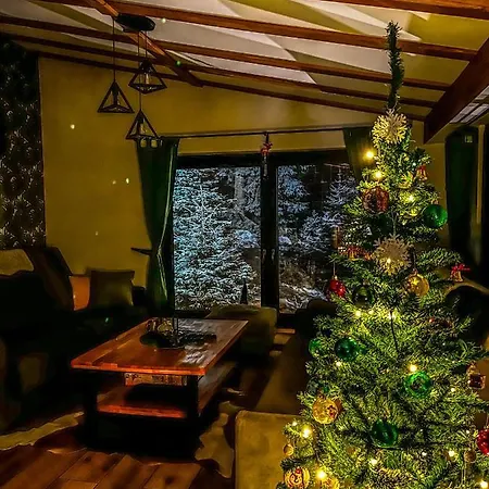 Apartment Basic Jelen Vlašić