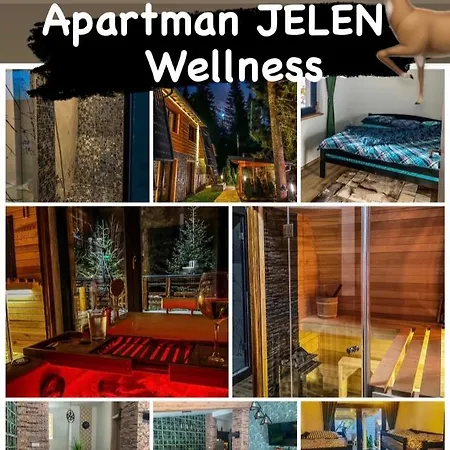 Basic Jelen Apartment