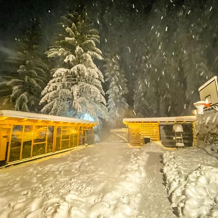 Apartment Basic Jelen *