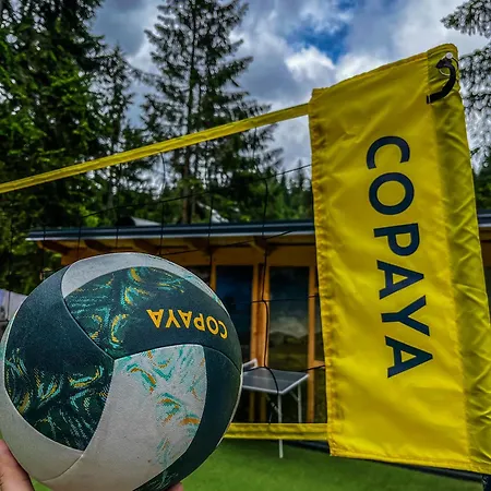 Apartment Basic Jelen *