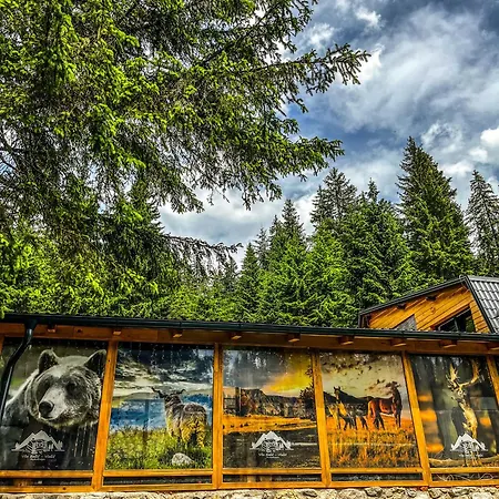 Basic Jelen Apartment Vlašić