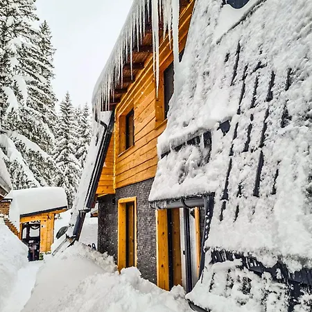 Basic Jelen Sauna & Jacuzzi Apartament