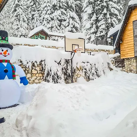 Apartment Basic Jelen