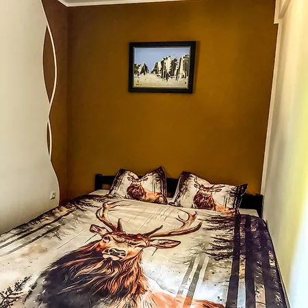 Apartment Basic Jelen *