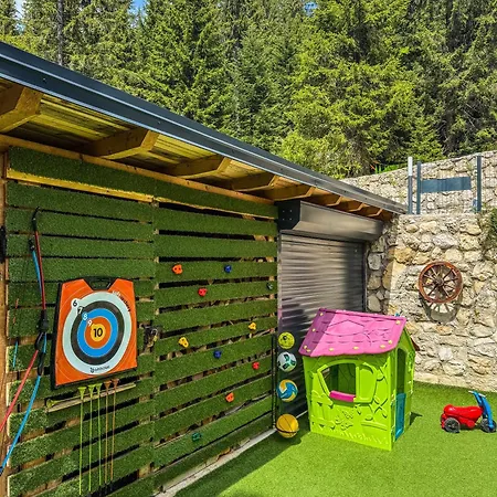 Basic Jelen Vlašić