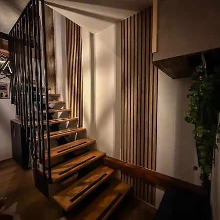 Apartament Basic Jelen Sauna & Jacuzzi