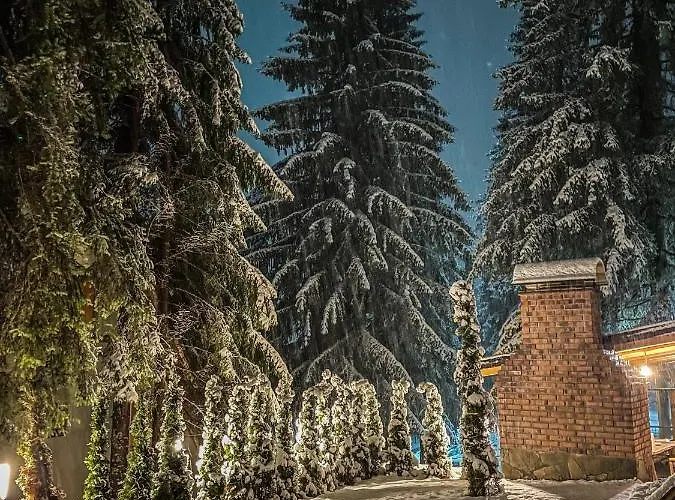 Basic Jelen Sauna & Jacuzzi *