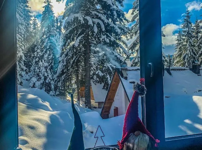 Basic Jelen Sauna & Jacuzzi