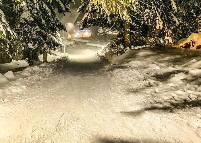 Basic Jelen Sauna & Jacuzzi Vlašić