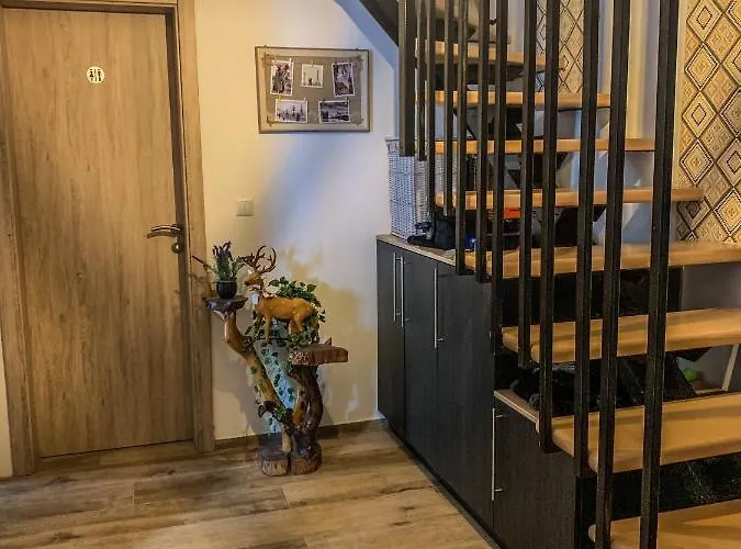 Apartmán Basic Jelen Sauna & Jacuzzi *