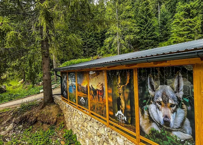 Basic Jelen Sauna & Jacuzzi Apartmán