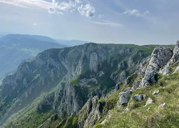 Basic Jelen Sauna & Jacuzzi