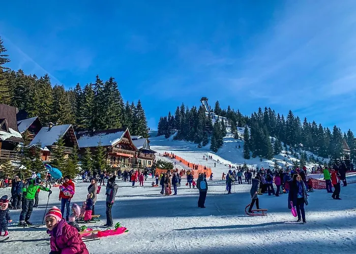 Basic Jelen Sauna & Jacuzzi