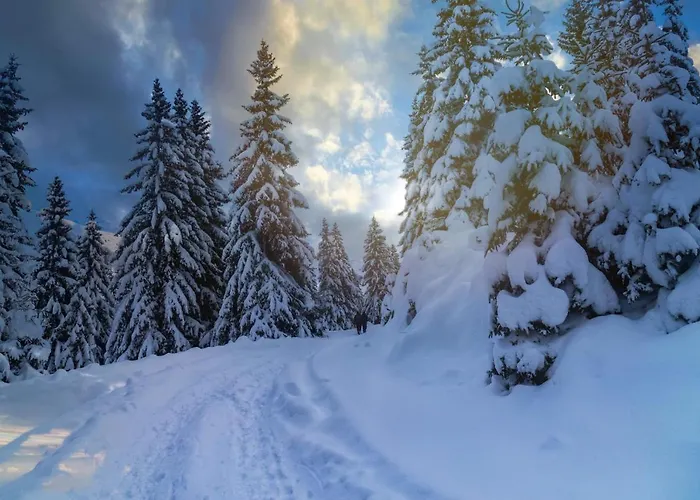 Apartmán Basic Jelen Sauna & Jacuzzi *