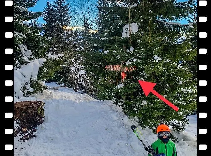 Basic Jelen Sauna & Jacuzzi *