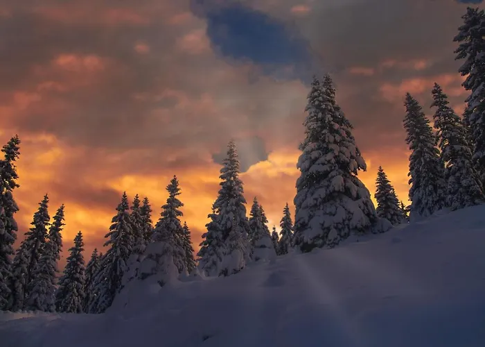 公寓 Basic Jelen 弗拉西克