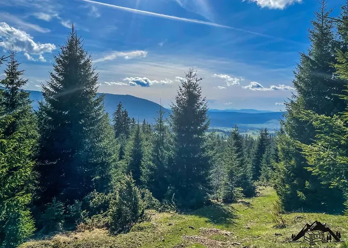 Basic Jelen Sauna & Jacuzzi