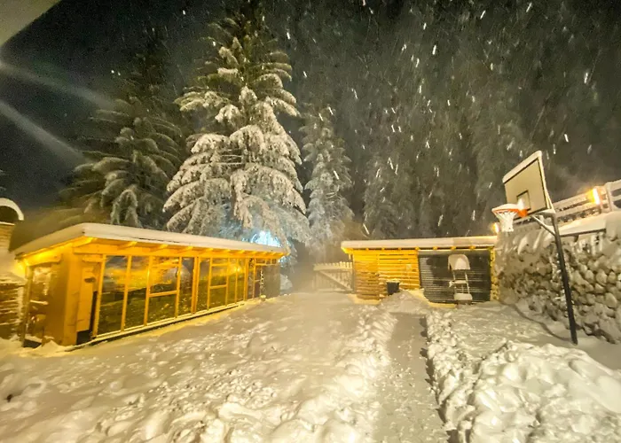 Apartmán Basic Jelen Sauna & Jacuzzi *