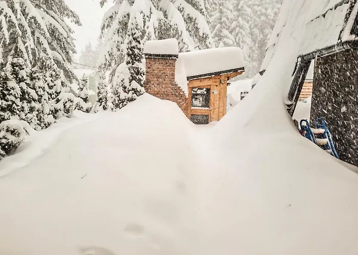 Basic Jelen Sauna & Jacuzzi Apartmán *