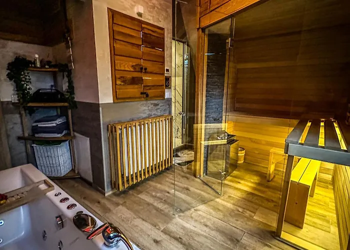 Basic Jelen Sauna & Jacuzzi Vlašić